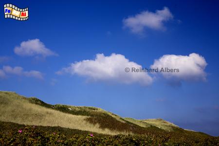 Dnen zwischen Westerland und Wenningstedt., Sylt, Westerland, Wenningstedt, Dnen, foreal, Albers,