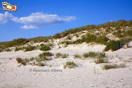 Dnenlandschaft, Hrnum, Dnen, Steilkste, Sylt, foreal, Albers,