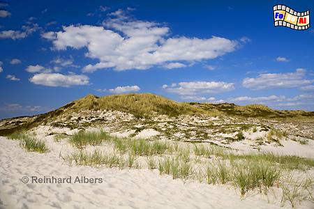 Dnen sdlich von Hrnum, Hrnum, Dnen, Steilkste, Sylt, foreal, Albers,