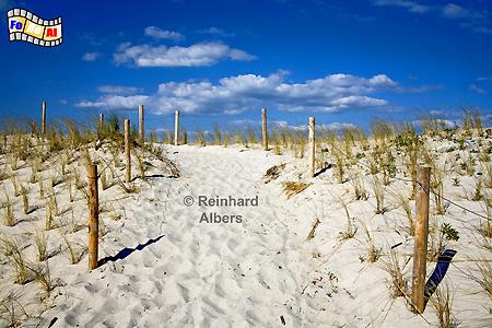 Weg durch die Dnen sdlich von Hrnum, Hrnum, Dnen, Sylt, foreal, Albers,