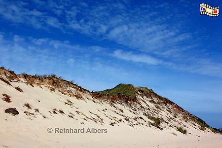 Dne Westerheide an der Ostkste, Sylt, Nordseekste, Westerheide, Dnen, Albers, Foto, foreal,