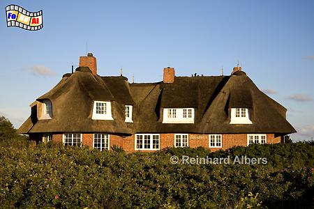 Kampen Reetdachhaus, Sylt, Kampen, Reetdach, foreal, Albers,
