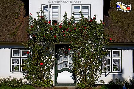 Keitum Hauseingang, Sylt, Keitum, Friesenhaus, foreal, Albers,