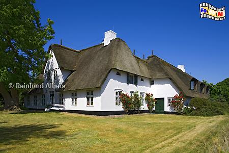 Keitum Friesenhaus, Sylt, Keitum, Friesenhaus, foreal, Albers,