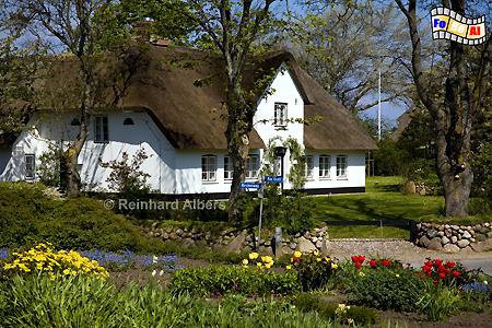 Keitum - Friesenhaus, Sylt, Keitum, Friesenhaus, foreal, Albers,