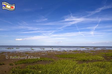 K�ste und Watt im NSG Morsum-Kliff, Sylt, Morsum, Watt, Schlick, foreal, Albers