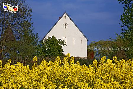 Kirche Sankt Martin in Morsum, Sylt, Raps, Kirche, Martin, foreal, Albers,