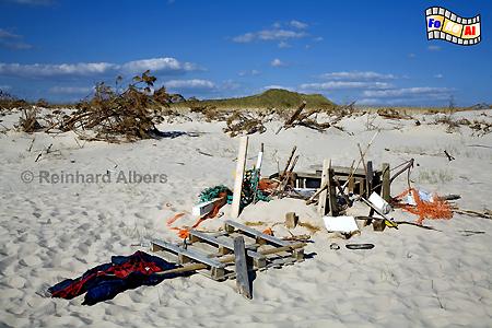 Strandgut am Ellenbogen, Sylt, Ellenbogen, Strandgut, foreal, Albers,