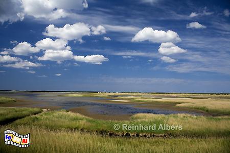 Rantumbecken, Sylt, Ratumbecken, foreal, Albers,