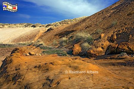 Morsum-Kliff, Sylt, Morsum, Kliff, NSG, foreal, Albers,