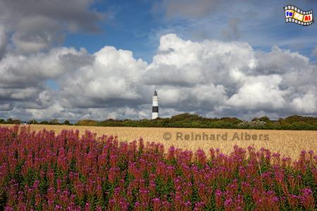 Leuchtturm sdlich von Kampen., Sylt, Kampen, Leuchtturm, Lighthouse, Phare, foreal, Albers,