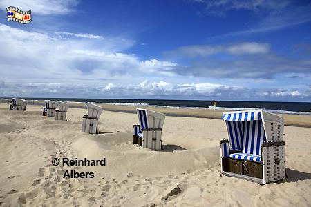 Am Strand bei Buhne 16., Sylt, Strand, Kampen, Strandkrbe, foreal, Albers,