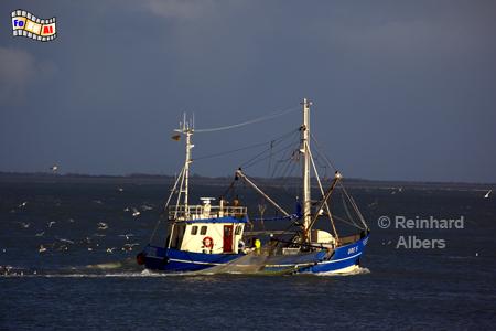 Fischkutter vor Hrnum., Sylt, Hrnum, Nordsee, Fischkutter, Foto, foreal, Albers