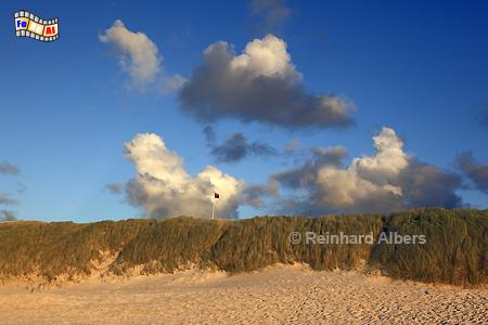 Wenningstedt: Strand, D�nen, Steilufer., Sylt, Wenningstedt, Strand, Meer, K�ste, Nordsee, D�nen, Albers, Foto, foreal,