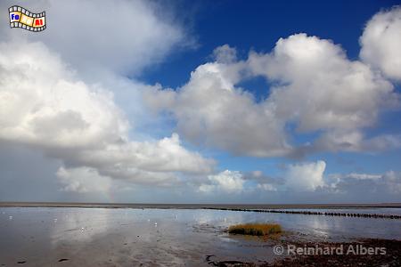 Watt bei Keitum im Oktober, Sylt, Keitum, Watt, Herbst, Albers, Foto, foreal,