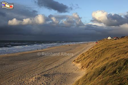 Wenningstedt: Strand, Dnen, Steilufer am Abend., Sylt, Wenningstedt, Strand, Meer, Kste, Nordsee, Meerblick, Albers, Foto, foreal,