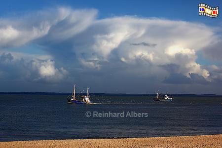 Fischkutter vor Hrnum., Sylt, Hrnum, Fischkutter, foreal, Nordsee, Foto, Albers,