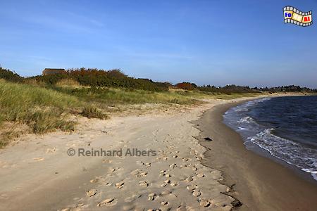 Blidselbucht, Sylt, Blidselbucht, Sderheidetal, Nordsee, Albers, Foto, foreal,
