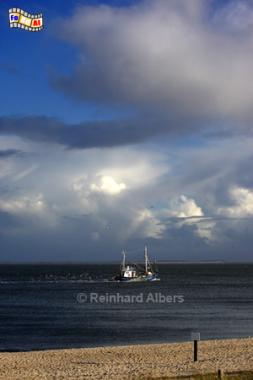 Fischkutter vor Hrnum, Sylt, Hrnum, Fischkutter, Foto, Albers, foreal,