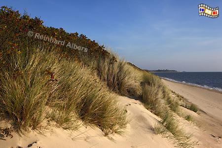 Blidselbucht, Sylt, Blidselbucht, Sderheidetal, Nordsee, Albers, Foto, foreal,