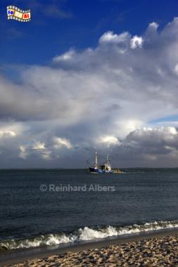 Fischkutter vor H�rnum, Sylt, H�rnum, Fischkutter, Foto, Albers, foreal,