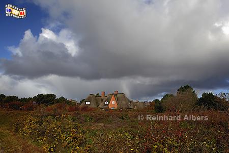Goldener Oktober bei Braderup., Sylt, Braderup, Heide, Herbst, Wolken, Albers, Foto, foreal,