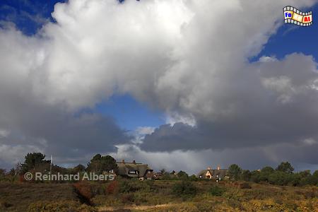 Herbst bei Braderup, Sylt, Braderup, Heide, Herbst, Wolken, Albers, Foto, foreal,
