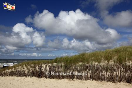Dnenschutz bei Buhne 16, Sylt, Buhne 16, Dnen, Kstenschutz, Albers, Foto, foreal,