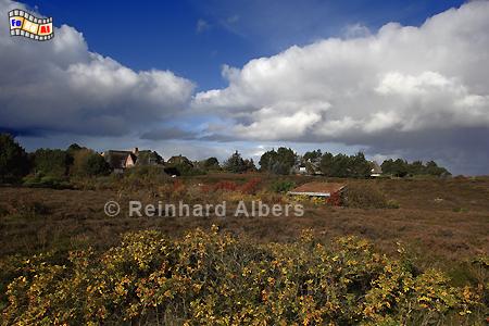 Braderuper Heide im Herbst, Sylt, Braderup, Heide, Herbst, Wolken, Albers, Foto, foreal,