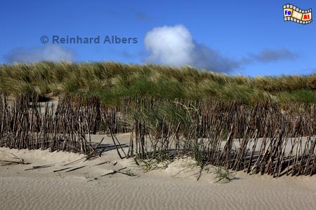 K�stenschutz am Ellenbogen., Sylt, Ellenbogen, D�nen, Strandhafer, Albers, Foto, foreal,