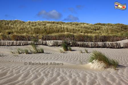 Dnen mit Strandhafer am Ellenbogen., Sylt, Ellenbogen, Dnen, Strandhafer, Albers, Foto, foreal,