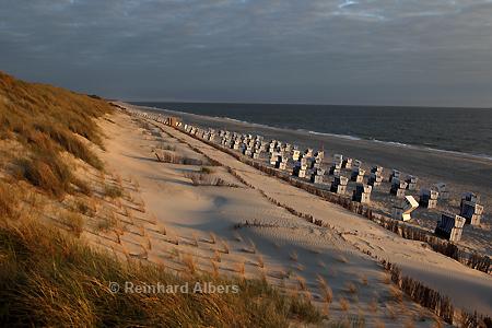Lister Weststrand am Abend., Sylt, Nordseekste, List, Strandkrbe, Weststrand, Foto, Albers, foreal,