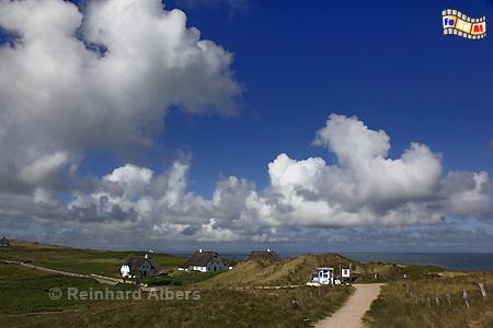 In den Dnen von Kampen beim Haus Kliffende., Sylt, Dnen, Kampen, Kliffende, Albers, Dnen,  