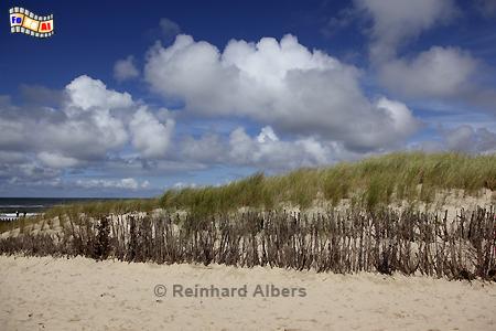 Dnenschutz bei Buhne 16, Sylt, Buhne 16, Dnen, Kstenschutz, Albers, Foto, foreal,