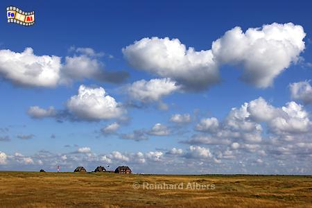 Ellenbogen im Norden der Insel Sylt., Sylt, Ellenbogen, Sylt, Uthrn, Albers, Foto, foreal,