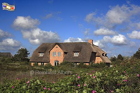 Kampen Friesenhaus, Sylt, Kampen, Reetdach, foreal, Albers,