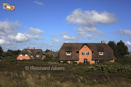 Kampen Friesenhuser, Sylt, Kampen, Reetdach, foreal, Albers,