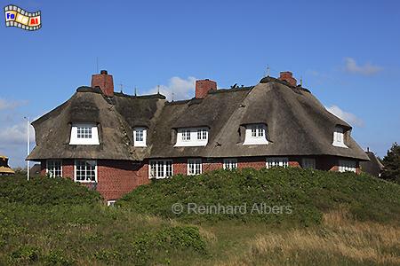 Kampen Reetdachhaus, Sylt, Kampen, Friesenhaus, Reetdach, foreal, Albers,