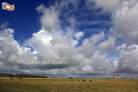 Landschaft bei Keitum, Sylt, Landschaft, Keitum, Himmel, Albers, foreal, Foto,