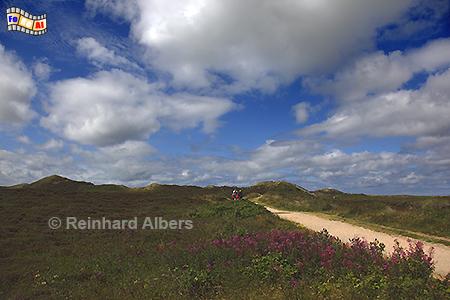 Blick zur Uwe-D�ne bei Kampen, Sylt, Kampen, Uwe-D�ne, Foto, Albers, foreal,