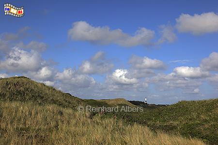 Dnen bei Wenningstedt, Sylt, Wenningstedt, Dnen, Albers, Foto, foreal,