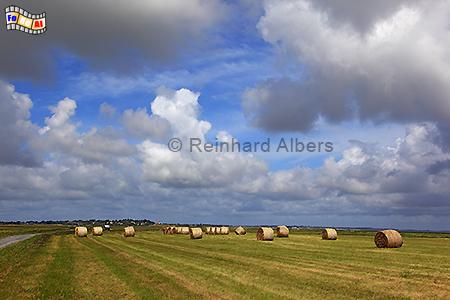 Landschaft mit Strohrollen �stlich von Keitum, Sylt, Heurollen, Landschaft, Strohrollen, Albers, foreal, Foto, Keitum,