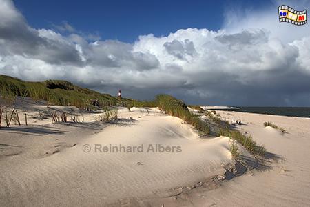 Dünenschutz am Ellenbogen auf Sylt, Sylt, Ellenbogen, Strand, Nordesee, Dünenschutz, Kueste, foreal, Albers, Foto,