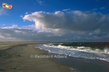 Schweinebucht am Ellenbogen auf Sylt., Sylt, Ellenbogen, Strand, Nordesee, Schweinebucht, Kueste, foreal, Albers, Foto,
