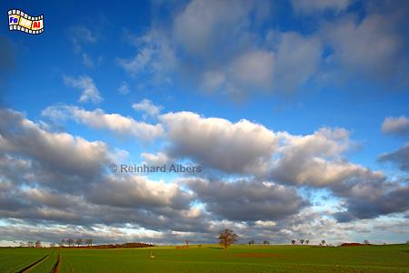 Himmel im Dezember in Ostholstein, Himmel, Wolken, Osthiolstein, Wetter, Albers, Foto, foreal,