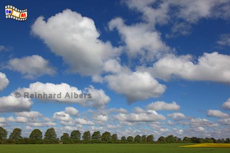 Landschaft mit Wolken bei Altenrade in Schleswig-Holstein, Himmel, Wolken, Albers, Foto, foreal,