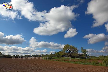 Landschaft mit Wolken bei Husberg in Schleswig-Holstein, Himmel, Wolken, Albers, Foto, foreal,