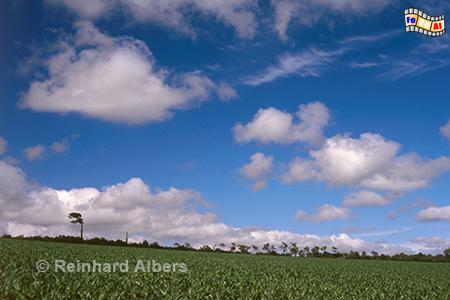 Landschaft mit Wolken am Menez-Hom in der Bretagne, Bretagne, Menez-Hom, Himmel, Wolken, Wetter, Albers, Foto, foreal,