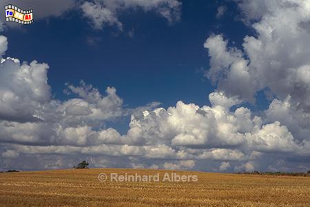 Himmel + Wolken ber der Halbinsel Schwansen., Himmel, Wolken, Wetter, Schwansen, Albers, Foto, foreal,