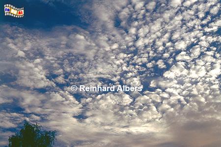 Schfchenwolken, Wetter, Wolken, Himmel, Schfchenwolken, Albers, Foto, foreal,